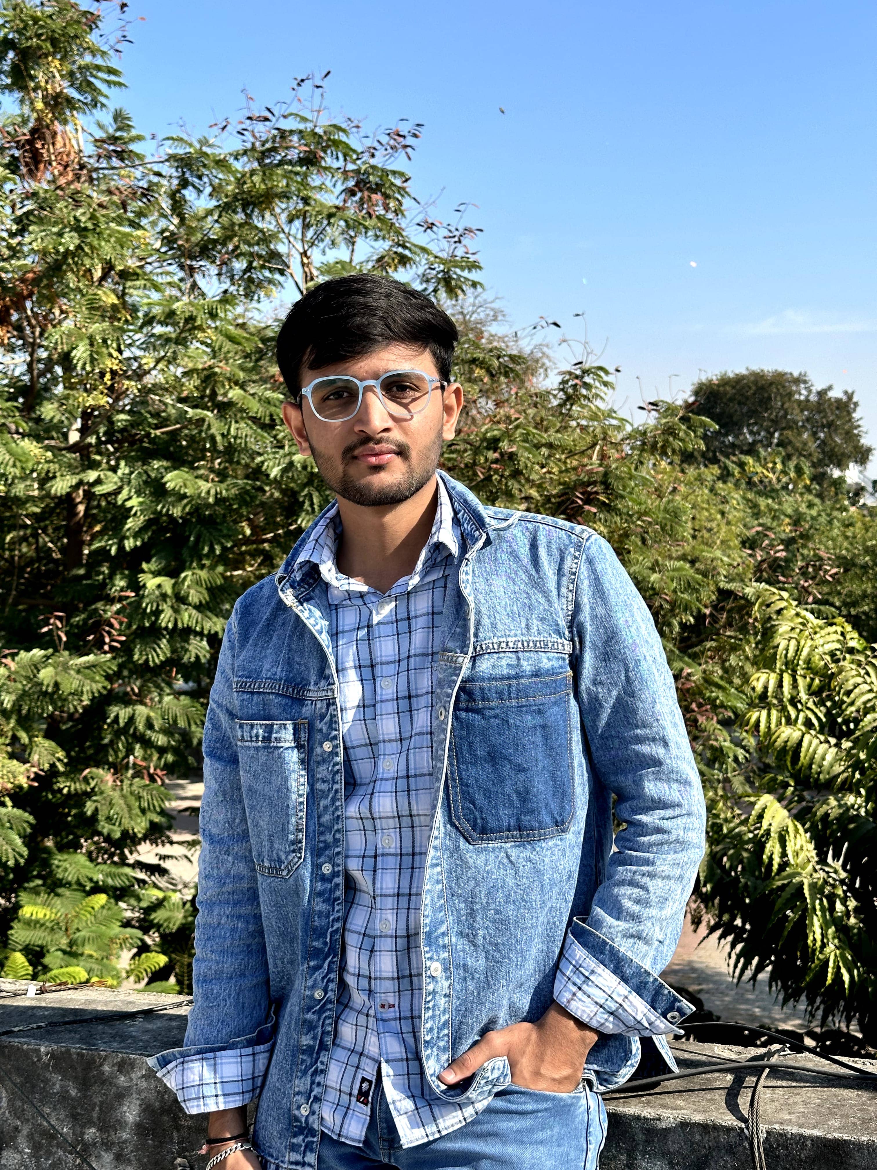 WebVibe Solution Team Profile